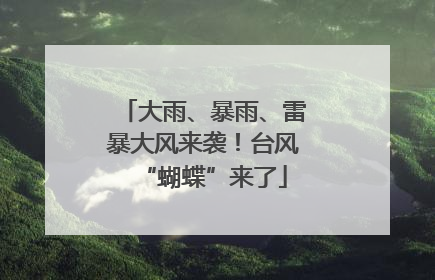 大雨、暴雨、雷暴大风来袭！台风“蝴蝶”来了