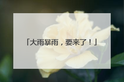 大雨暴雨，要来了！