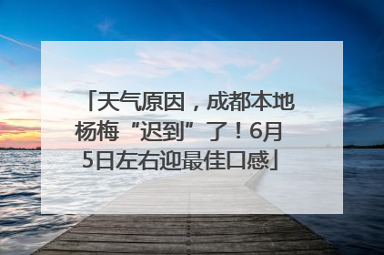 天气原因，成都本地杨梅“迟到”了！6月5日左右迎最佳口感