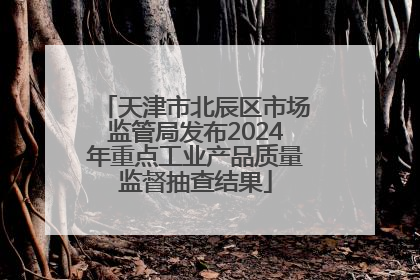 天津市北辰区市场监管局发布2024年重点工业产品质量监督抽查结果