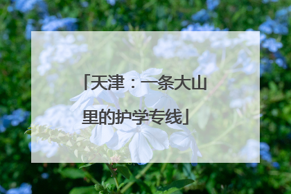 天津：一条大山里的护学专线