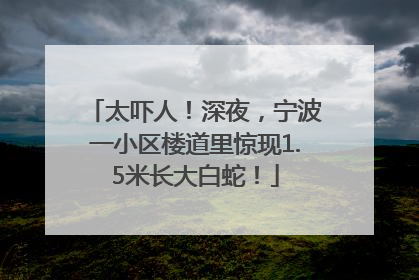 太吓人！深夜，宁波一小区楼道里惊现1.5米长大白蛇！