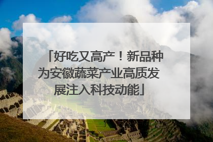 好吃又高产！新品种为安徽蔬菜产业高质发展注入科技动能