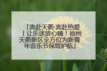奔赴天衢·奔赴热爱丨让乐迷放心嗨！德州天衢新区全方位为新青年音乐节保驾护航
