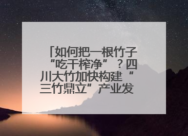 如何把一根竹子“吃干榨净”？四川大竹加快构建“三竹鼎立”产业发展新格局