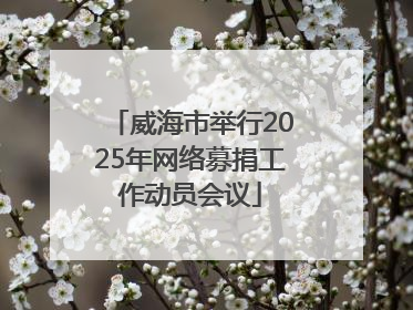 威海市举行2025年网络募捐工作动员会议