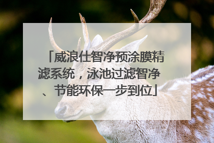 威浪仕智净预涂膜精滤系统，泳池过滤智净、节能环保一步到位