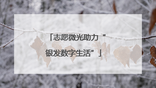 志愿微光助力“银发数字生活”
