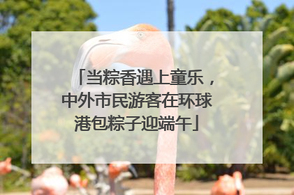 当粽香遇上童乐，中外市民游客在环球港包粽子迎端午