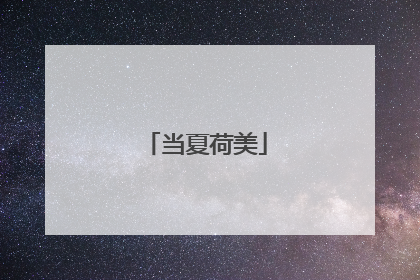 当夏荷美