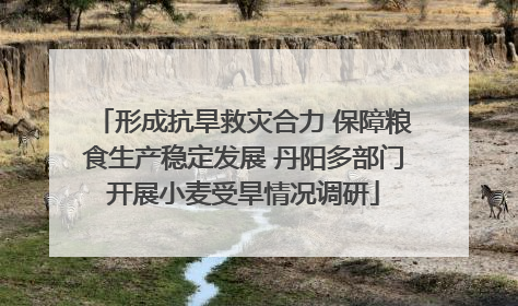 形成抗旱救灾合力 保障粮食生产稳定发展 丹阳多部门开展小麦受旱情况调研