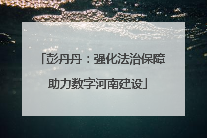 彭丹丹：强化法治保障 助力数字河南建设