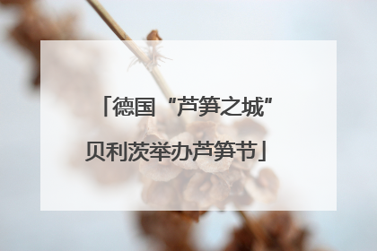 德国“芦笋之城”贝利茨举办芦笋节