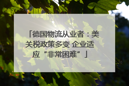 德国物流从业者：美关税政策多变 企业适应“非常困难”