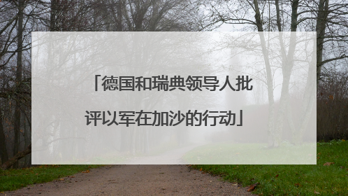 德国和瑞典领导人批评以军在加沙的行动