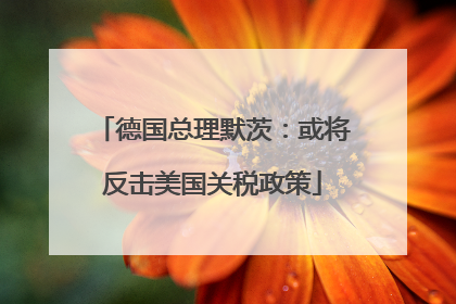 德国总理默茨：或将反击美国关税政策
