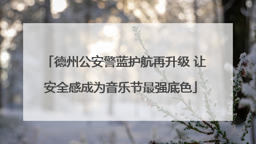 德州公安警蓝护航再升级 让安全感成为音乐节最强底色