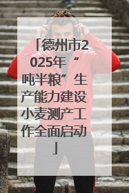 德州市2025年“吨半粮”生产能力建设小麦测产工作全面启动