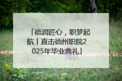 德润匠心，职梦起航丨直击德州职院2025年毕业典礼
