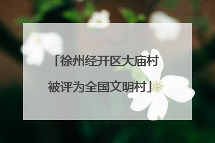 徐州经开区大庙村被评为全国文明村
