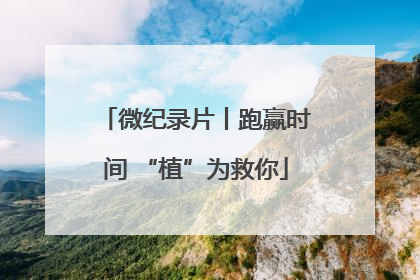 微纪录片丨跑赢时间 “植”为救你
