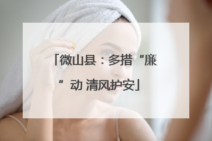 微山县：多措“廉”动 清风护安