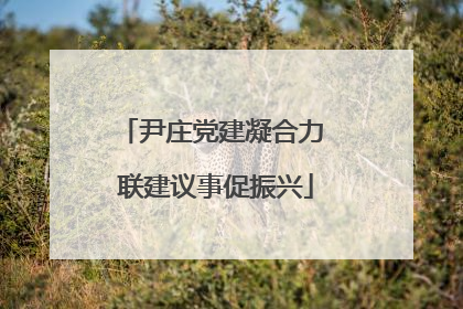 尹庄党建凝合力 联建议事促振兴