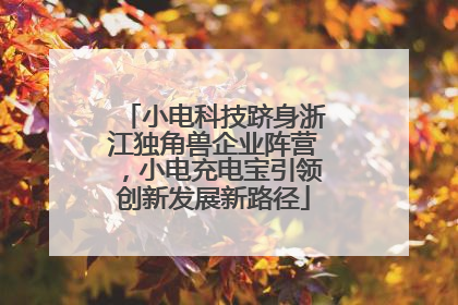 小电科技跻身浙江独角兽企业阵营，小电充电宝引领创新发展新路径