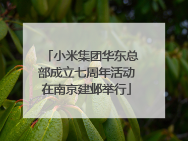 小米集团华东总部成立七周年活动在南京建邺举行