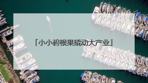 小小碧根果撬动大产业