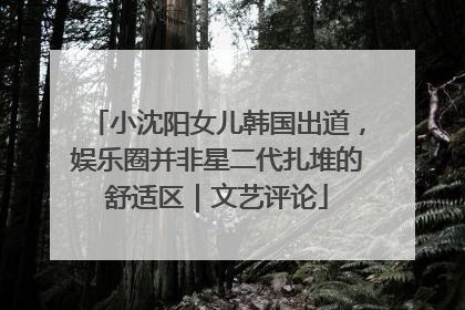 小沈阳女儿韩国出道，娱乐圈并非星二代扎堆的舒适区｜文艺评论