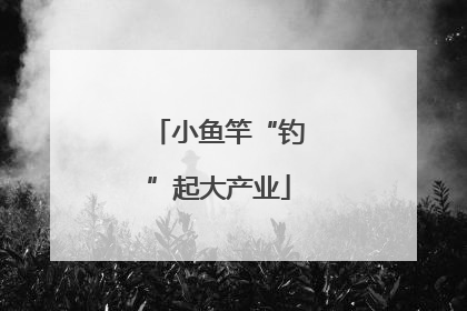 小鱼竿“钓”起大产业