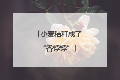 小麦秸秆成了“香饽饽”