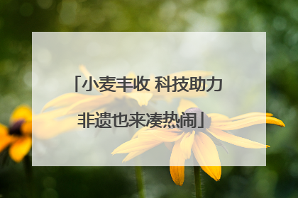 小麦丰收 科技助力 非遗也来凑热闹