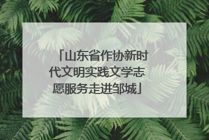 山东省作协新时代文明实践文学志愿服务走进邹城