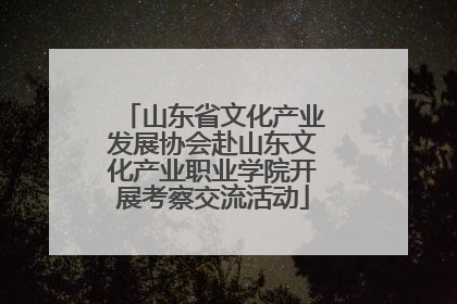 山东省文化产业发展协会赴山东文化产业职业学院开展考察交流活动
