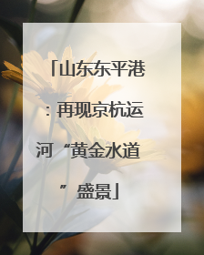 山东东平港：再现京杭运河“黄金水道”盛景