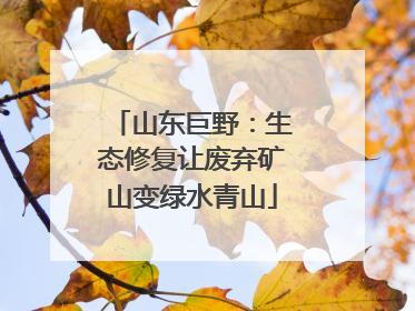 山东巨野：生态修复让废弃矿山变绿水青山