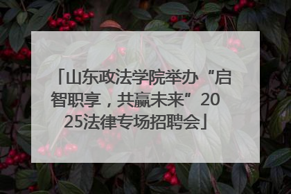 山东政法学院举办“启智职享，共赢未来”2025法律专场招聘会