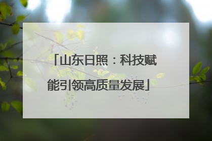 山东日照：科技赋能引领高质量发展