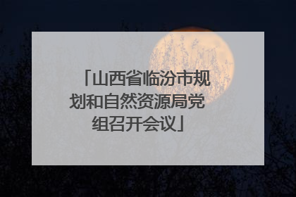山西省临汾市规划和自然资源局党组召开会议