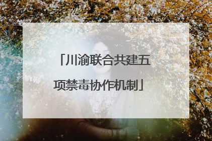 川渝联合共建五项禁毒协作机制