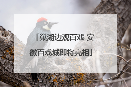 巢湖边观百戏 安徽百戏城即将亮相