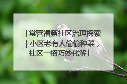 常营福第社区治理探索｜小区老有人偷偷种菜，社区一招巧妙化解
