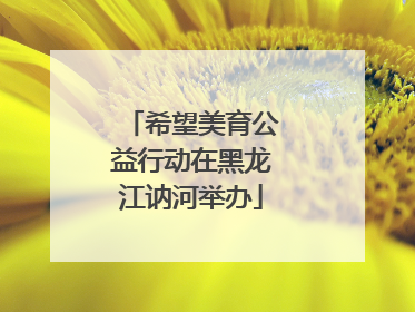希望美育公益行动在黑龙江讷河举办
