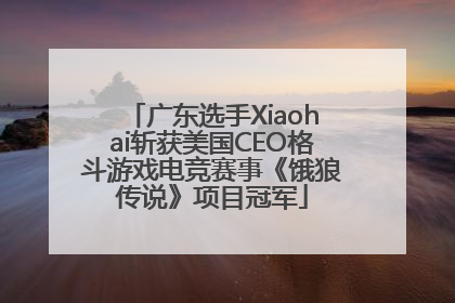 广东选手Xiaohai斩获美国CEO格斗游戏电竞赛事《饿狼传说》项目冠军