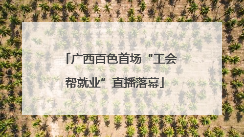 广西百色首场“工会帮就业”直播落幕