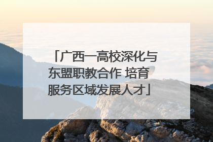广西一高校深化与东盟职教合作 培育服务区域发展人才