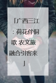 广西三江：荷花伴侗歌 农文旅融合引客来