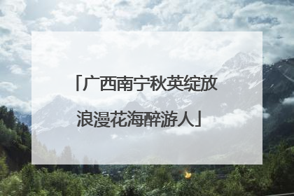 广西南宁秋英绽放 浪漫花海醉游人